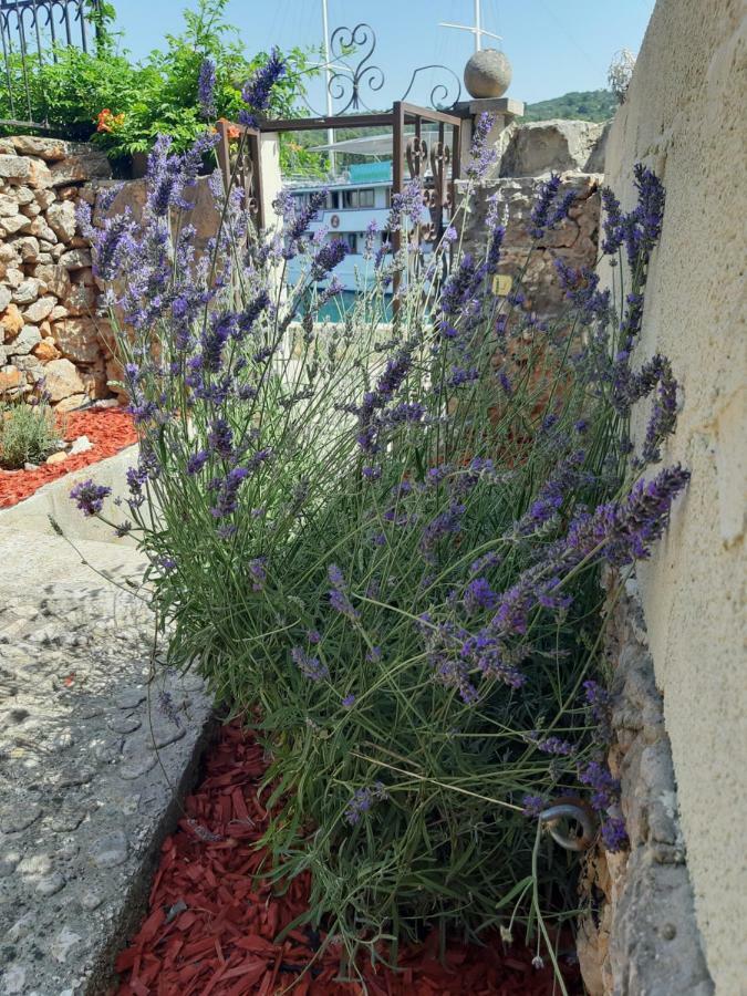 Two-Bedroom Apartment With Sea View,Big Terrase And Garden Stari Grad  Luaran gambar